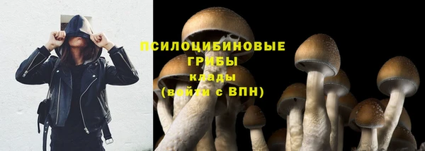 дурь Медвежьегорск
