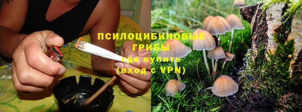 дурь Медвежьегорск