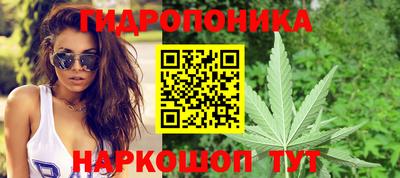 гашик Гусев