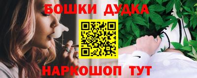 дмт Гай