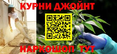 дмт Гай
