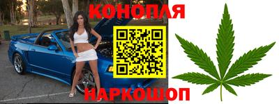 дмт Гай