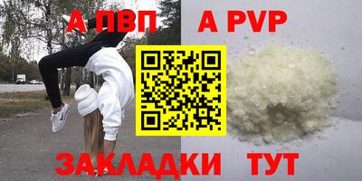 дмт Гай