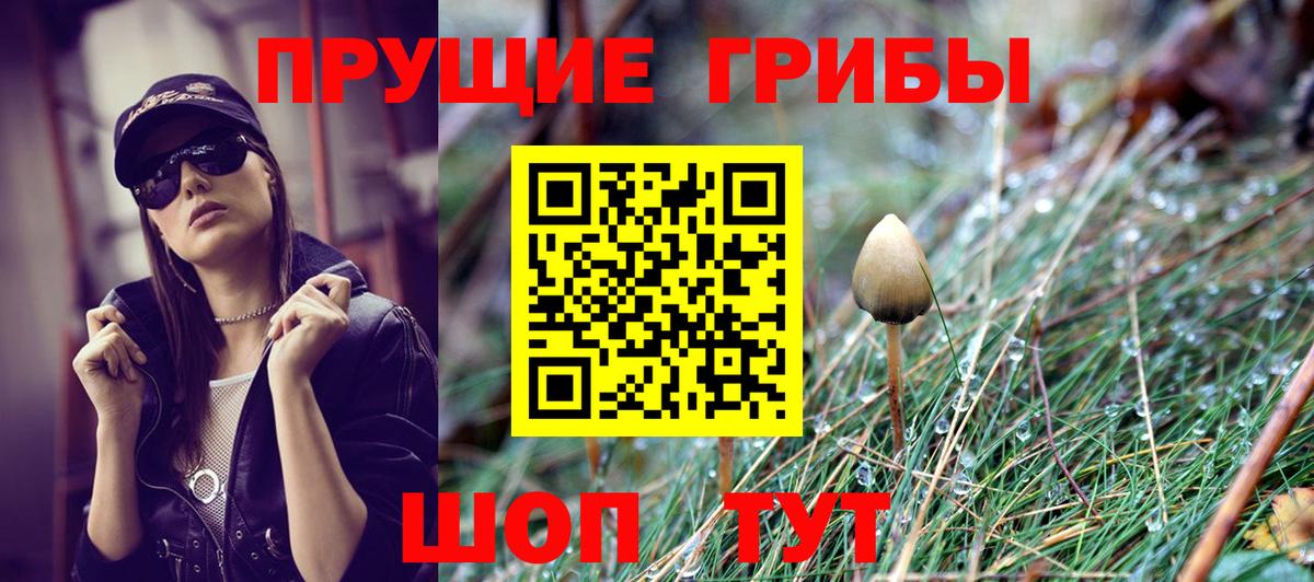 Псилоцибиновые грибы Psilocybine cubensis  Вход с VPN  Донецк 